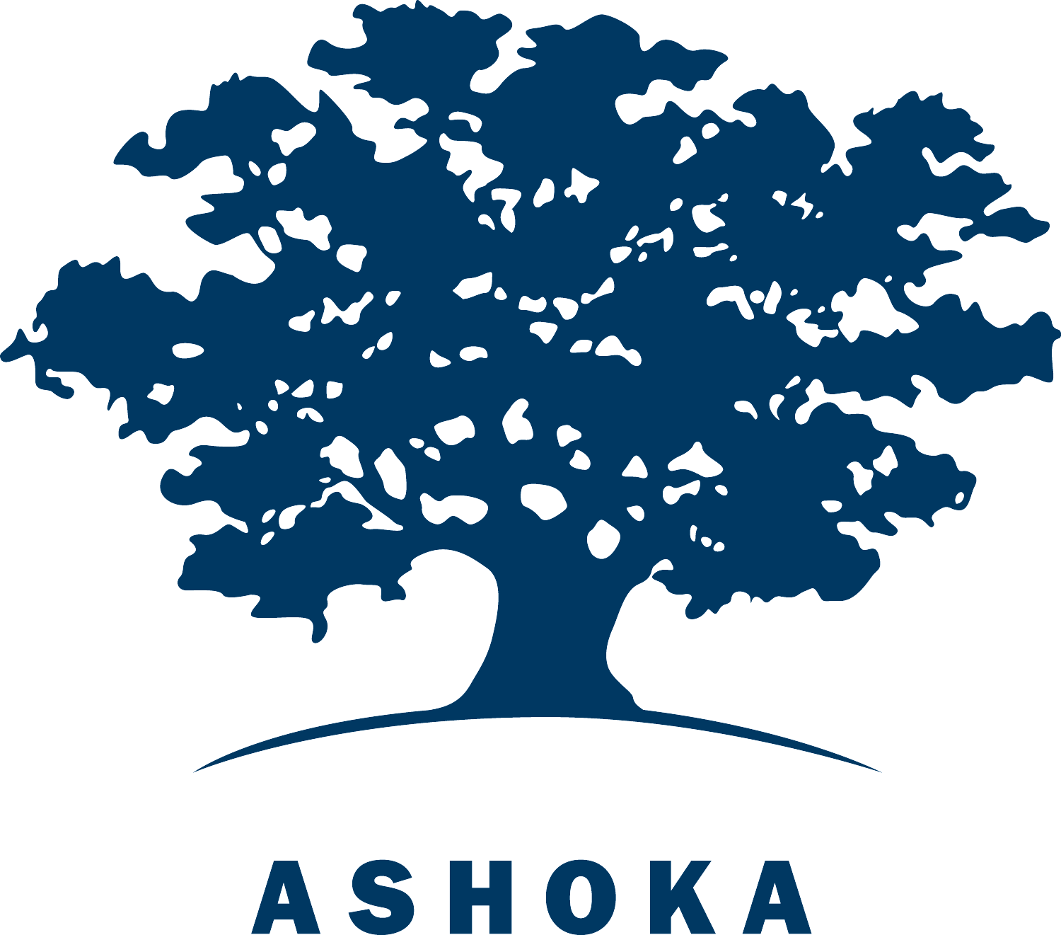 Ashoka logo